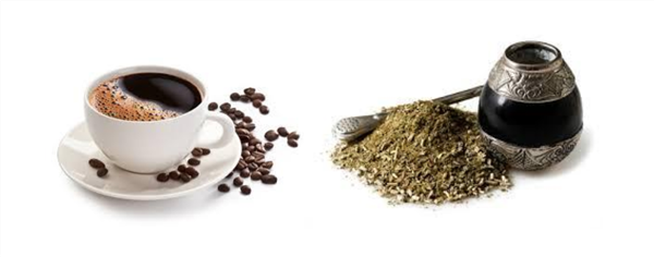 Diferencias entre la yerba mate y el café