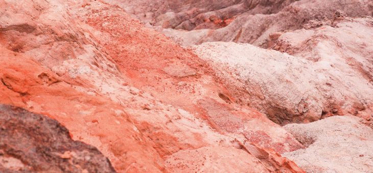La yerba mate: una rica fuente de minerales – Parte 2