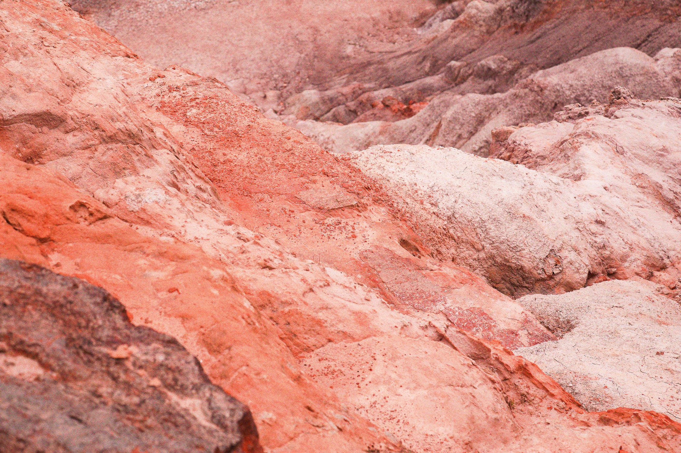La yerba mate: una rica fuente de minerales – Parte 2