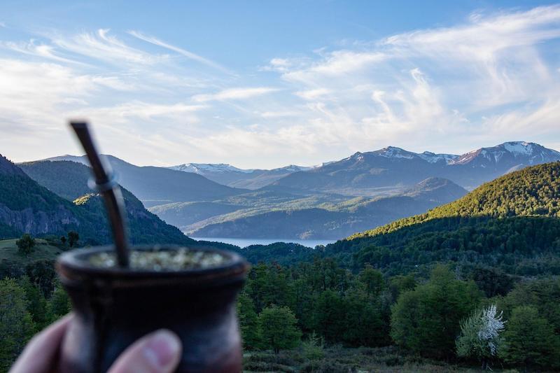 ¿Que vitaminas podemos encontrar en la Yerba Mate? (Parte 2)