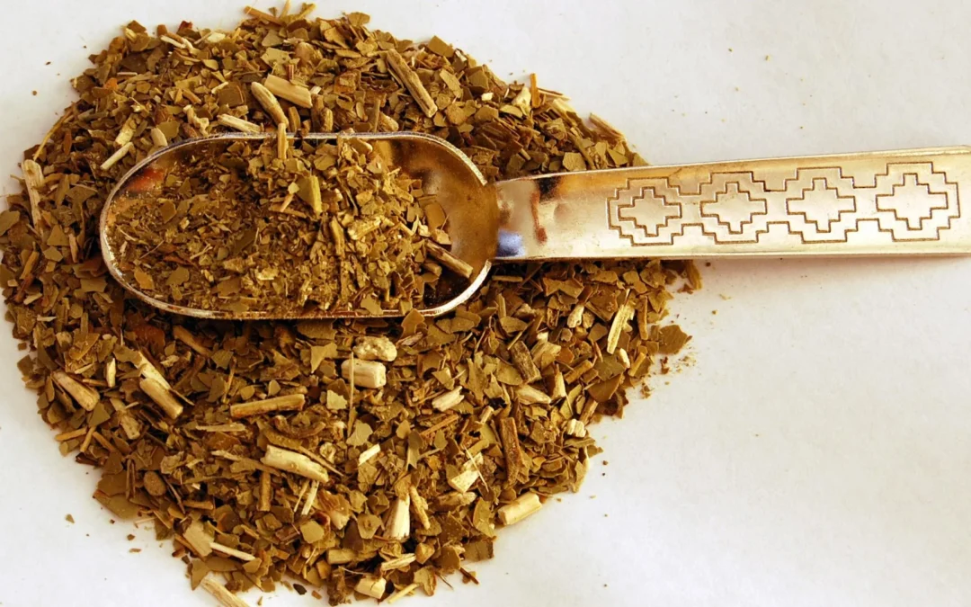 La yerba mate y la piel